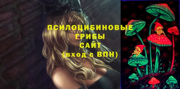 гашик Алзамай