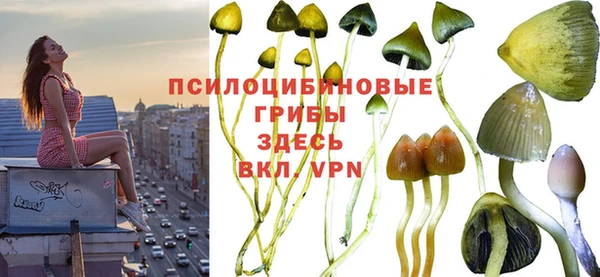 эйфоретик Ельня