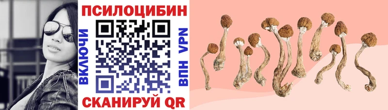 omg зеркало Сухиничи Галлюциногенные грибы Magic Shrooms